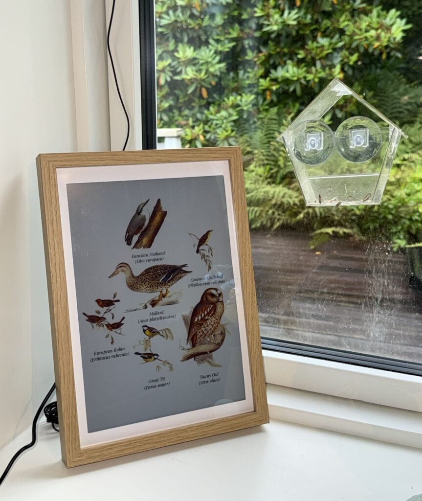 Una cornice con display e-ink appoggiata su un davanzale, con la finestra sporca sullo sfondo.